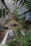 chernobyl 74 pripyat ghosttown greenhouse.jpg